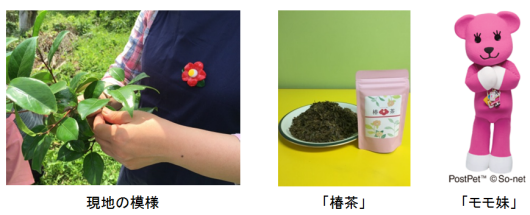 画像2 画像2